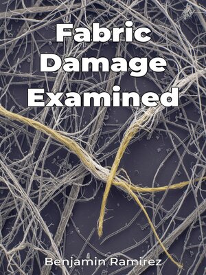 cover image of Fabric Damage Examined